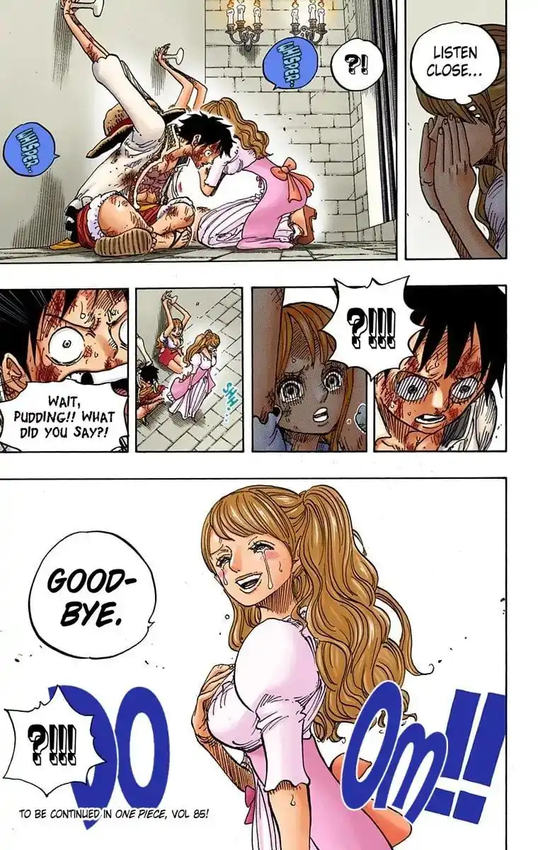 One Piece - Digital Colored Comics Chapter 848 18